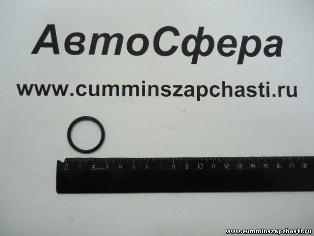 Фото 4995185 Кольцо уплотнительное пробки масляного картера (Cummins ISF2.8/3.8)