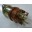 Реле втягивающее стартера Dong Feng, Донг Фенг QD2802-600 /2816-600, DK2816B